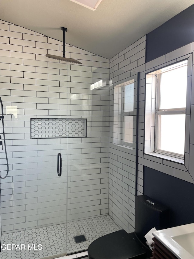 472 Valle Suave Dr, Socorro, TX 79927 - full bathroom with toilet, a shower stall, and vaulted ceiling