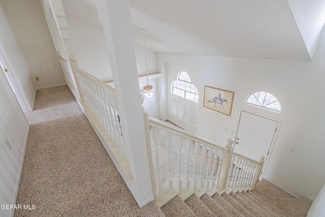 3020 Lake Travis Pl, El Paso, TX 79936 - stairs with carpet floors, healthy amount of natural light, high vaulted ceiling, and baseboards