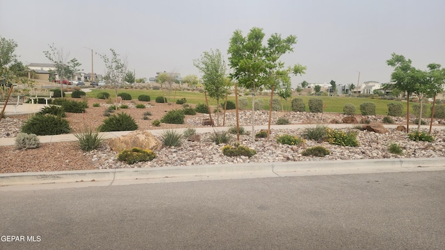 12869 Woolstone Dr, El Paso, TX 79928 - view of yard