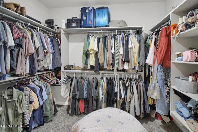 spacious closet with carpet floors