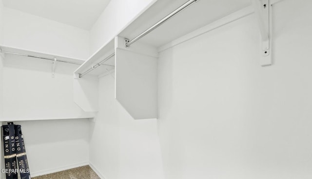 556 Cedarwood Ave, El Paso, TX 79928 - view of walk in closet
