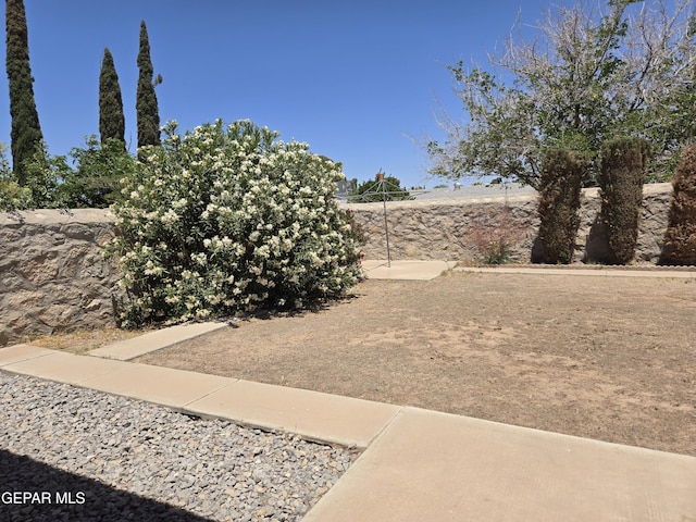 view of yard