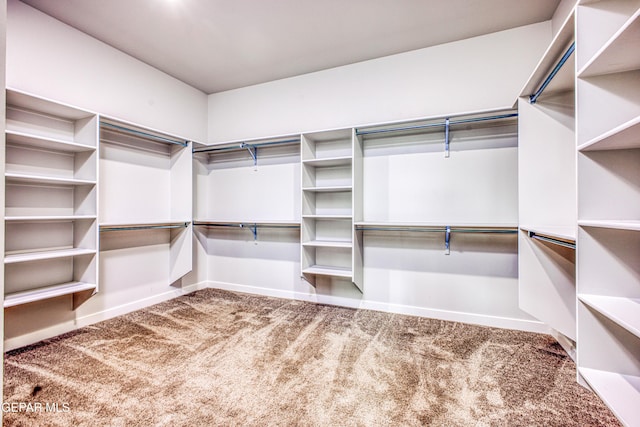 309 Blue Vly, El Paso, TX 79928 - walk in closet with carpet