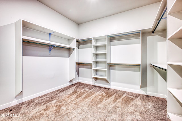 309 Blue Vly, El Paso, TX 79928 - walk in closet with carpet floors