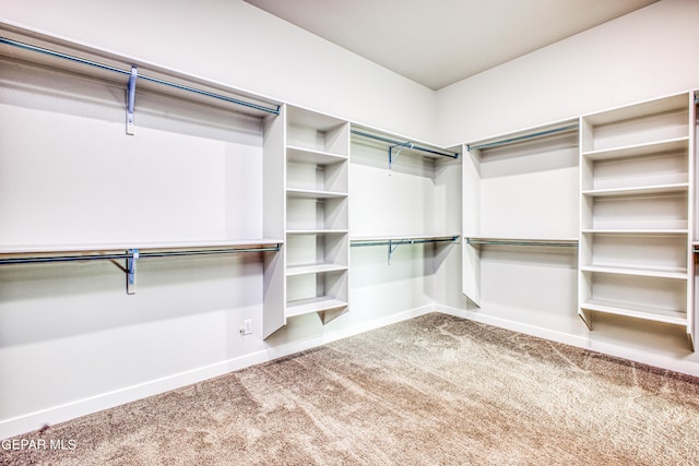 309 Blue Vly, El Paso, TX 79928 - walk in closet with carpet floors