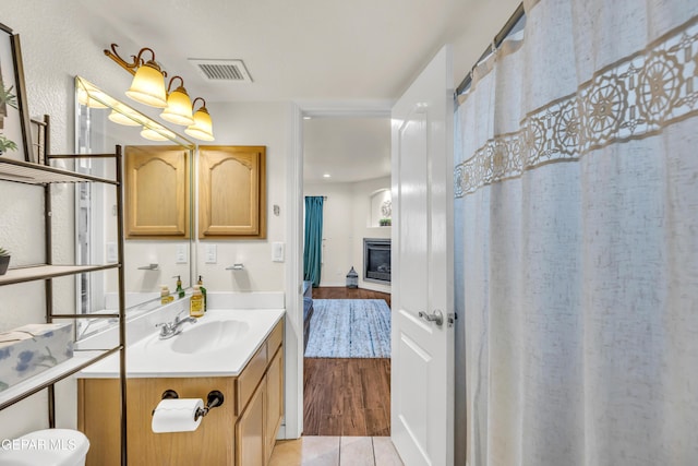 3208 Cascade Point Dr, El Paso, TX 79938 - full bath featuring vanity, a glass covered fireplace, and wood finished floors