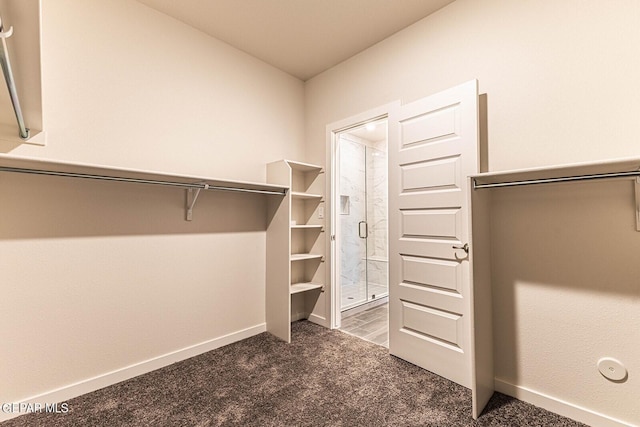 3801 Course St, El Paso, TX 79938 - walk in closet with carpet