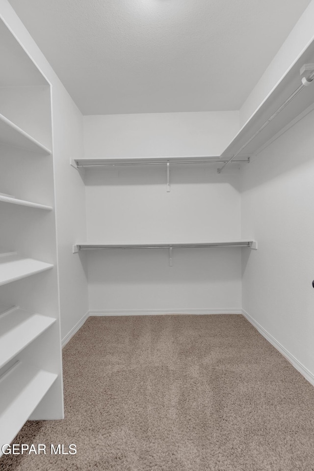 3165 Diego Aidan Dr, El Paso, TX 79938 - spacious closet with carpet floors