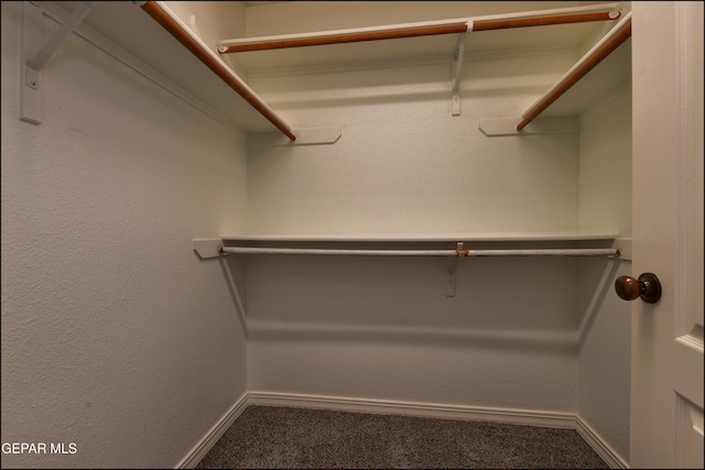 1493 Luz De Sol Dr, El Paso, TX 79912 - spacious closet with carpet flooring