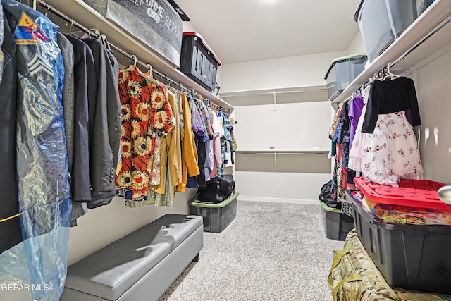 12405 Northumberg Dr, El Paso, TX 79928 - spacious closet with carpet flooring