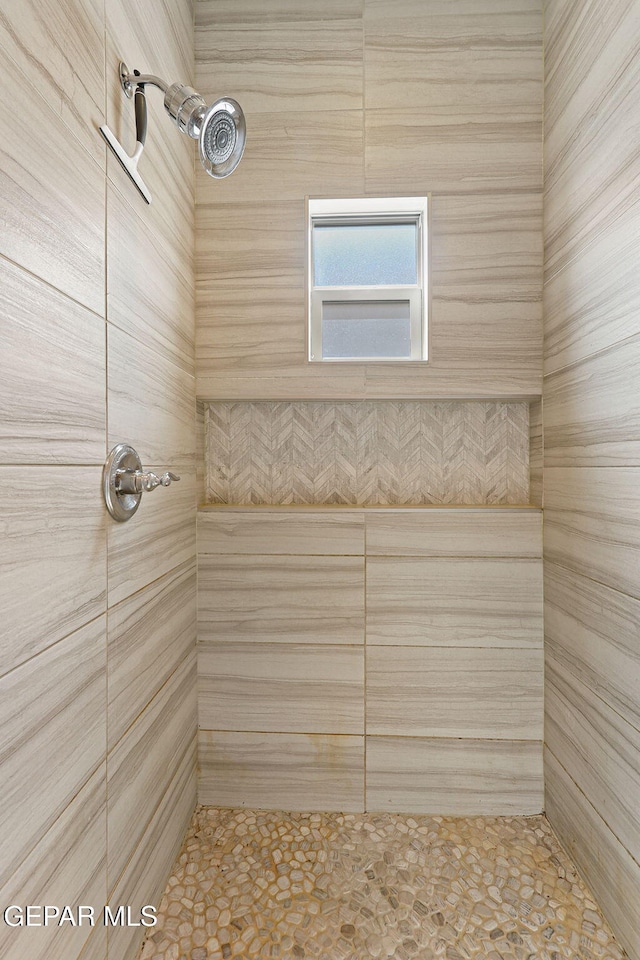 14172 Peyton Edwards Ave, El Paso, TX 79938 - bathroom featuring a tile shower