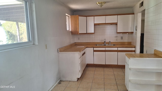 223 Kelvin Ave, El Paso, TX 79915 - kitchen featuring a sink, white cabinetry, plenty of natural light, open shelves, and a textured ceiling