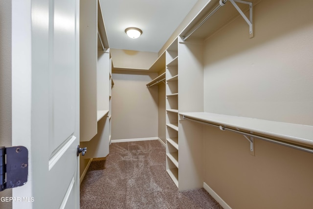 883 Blue Park Ave, Santa Teresa, NM 88008 - photo 27