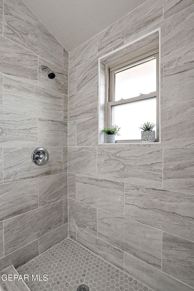 819 Los Surcos Rd, El Paso, TX 79907 - full bath with tiled shower