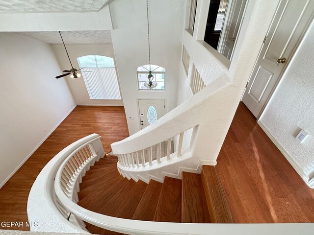 3081 Tierra Humeda Dr, El Paso, TX 79938 - photo 11
