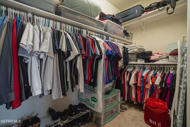 7350 Rosas Way, Canutillo, TX 79835 - spacious closet featuring carpet flooring