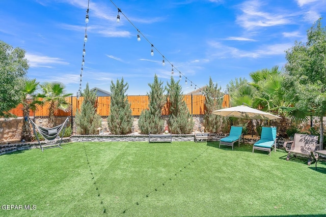 14809 Tierra Escape Ave, El Paso, TX 79938 - view of yard
