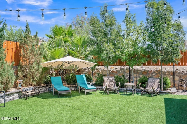 14809 Tierra Escape Ave, El Paso, TX 79938 - view of yard