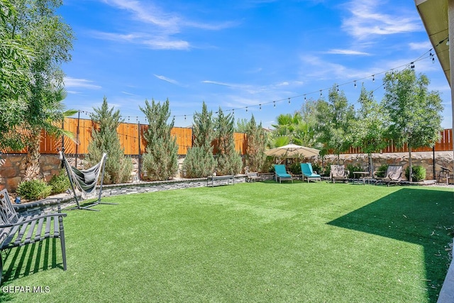 14809 Tierra Escape Ave, El Paso, TX 79938 - view of yard