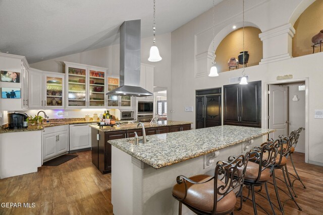 12081 E Paseo De Amor Ln E, El Paso, TX 79936 - kitchen featuring island range hood, an island with sink, built in appliances, dark wood finished floors, and high vaulted ceiling