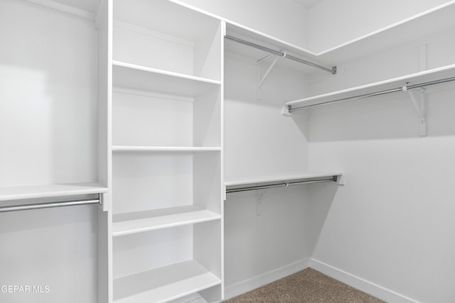10700 Elise St, El Paso, TX 79924 - spacious closet with carpet