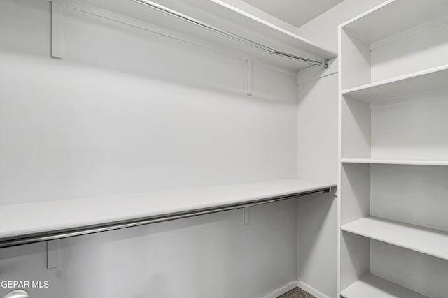 13804 Flora Vista Ave, Horizon City, TX 79928 - view of spacious closet