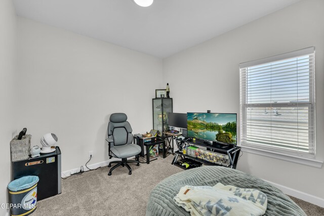 14733 Mike A Mendoza Ave, El Paso, TX 79938 - living area with carpet floors, healthy amount of natural light, and baseboards