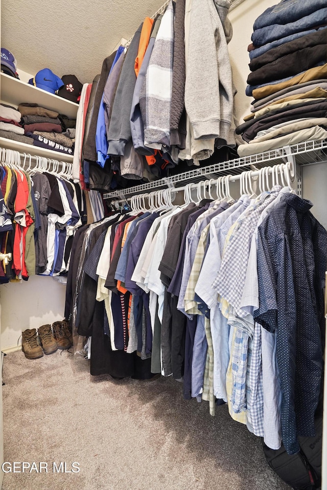 505 Canyon Springs Dr, El Paso, TX 79912 - spacious closet with carpet