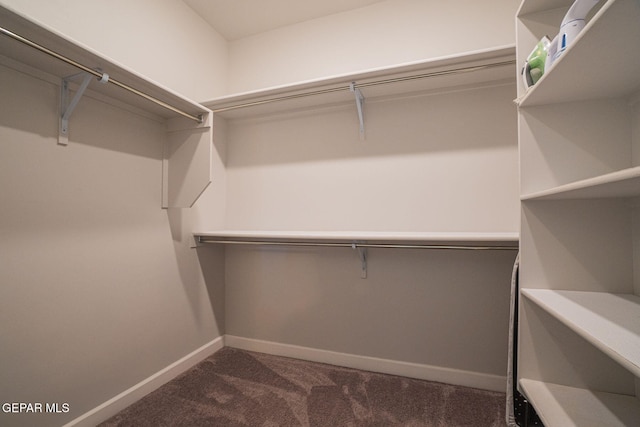 7389 Cimarron Gap Dr, El Paso, TX 79911 - walk in closet featuring dark colored carpet