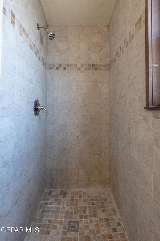 903 Agua Caliente Dr, El Paso, TX 79912 - full bath featuring tiled shower
