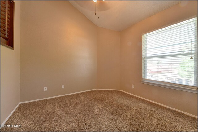 390 Medill Pl, Horizon City, TX 79928 - photo 33