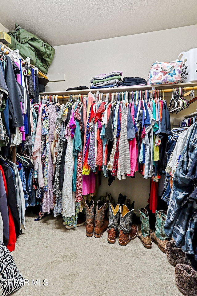 14181 Rudy Valdez Dr, El Paso, TX 79938 - spacious closet featuring carpet floors