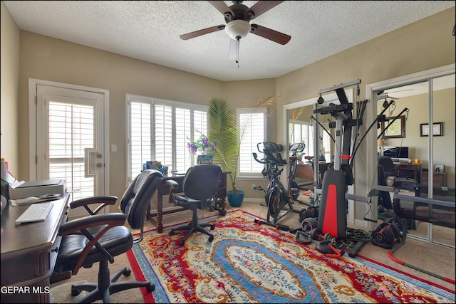 1337 Emerald Gate Ln, El Paso, TX 79936 - carpeted office space with ceiling fan and a textured ceiling
