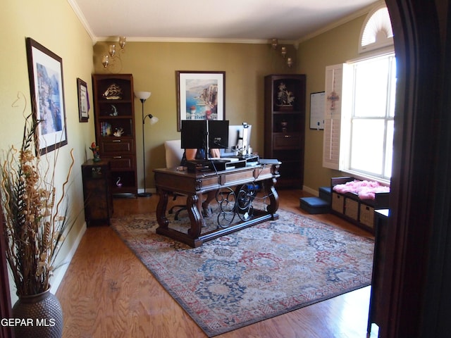 7012 Diamond Ridge Dr, El Paso, TX 79912 - office area with wood finished floors, healthy amount of natural light, crown molding, and baseboards