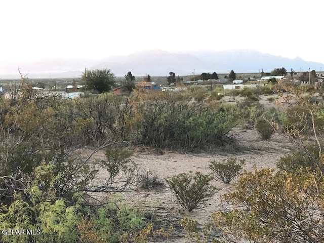 124 Hendrich Rd, Chaparral, NM 88081