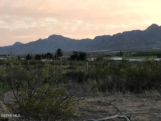 124 Hendrich Rd, Chaparral, NM 88081