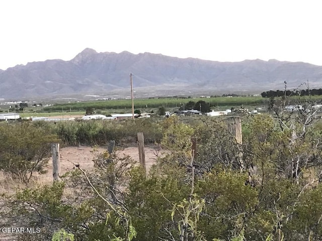 124 Hendrich Rd, Chaparral, NM 88081