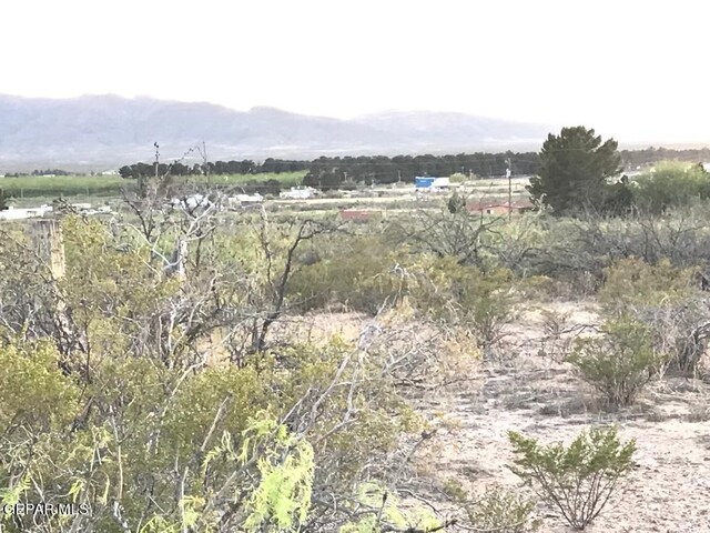 124 Hendrich Rd, Chaparral, NM 88081