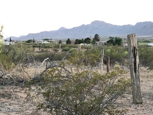 124 Hendrich Rd, Chaparral, NM 88081