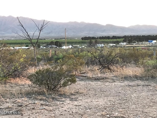 124 Hendrich Rd, Chaparral, NM 88081