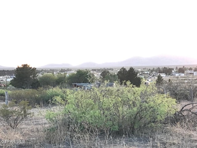 124 Hendrich Rd, Chaparral, NM 88081