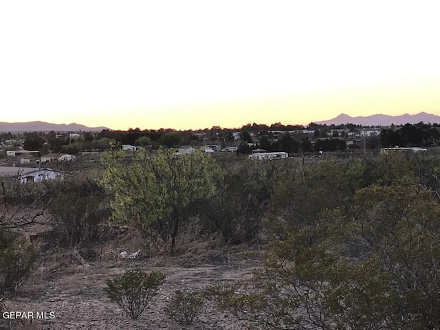 124 Hendrich Rd, Chaparral, NM 88081