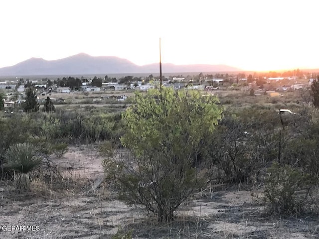 124 Hendrich Rd, Chaparral, NM 88081