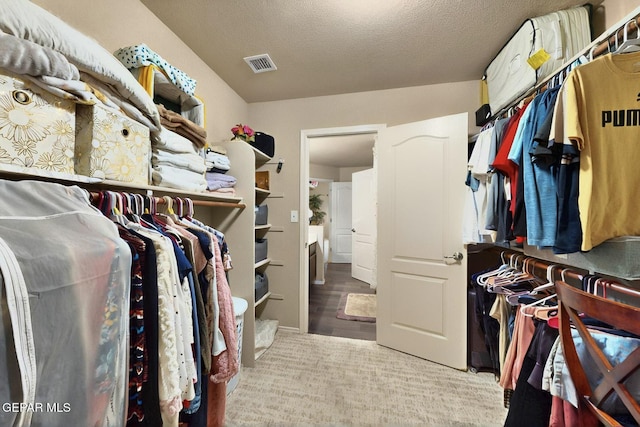 12009 Copper Point Pl, El Paso, TX 79934 - spacious closet featuring carpet floors