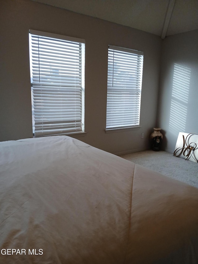 405 Santorini Ct, Socorro, TX 79927 - unfurnished bedroom with carpet floors