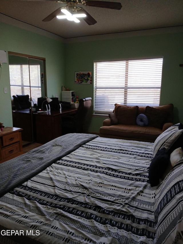 405 Santorini Ct, Socorro, TX 79927 - photo 20