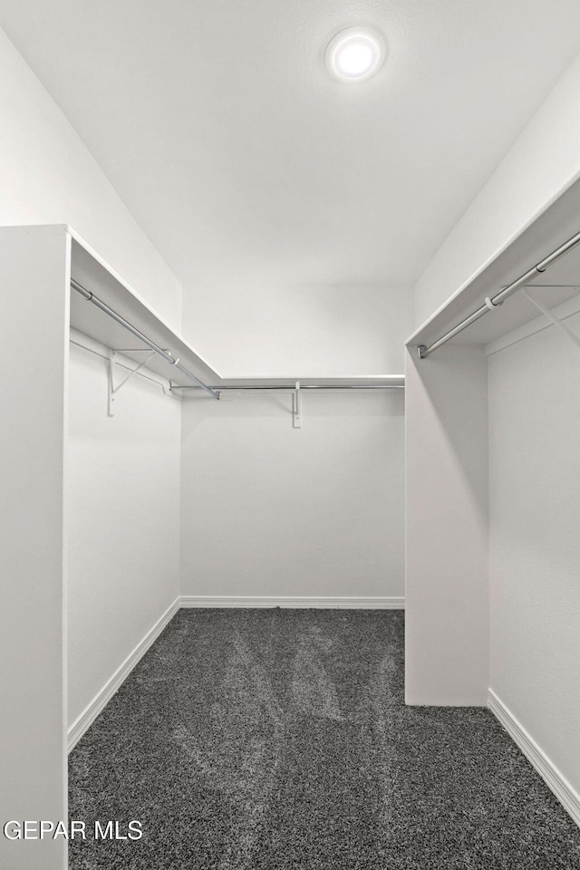 12816 Linstead Ave, El Paso, TX 79928 - walk in closet featuring carpet floors
