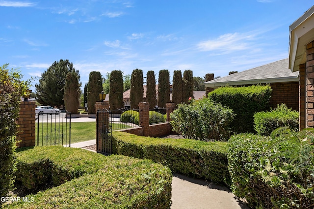 5445 Connors Ln, El Paso, TX 79932 - view of yard