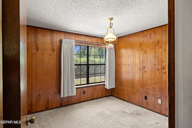 5445 Connors Ln, El Paso, TX 79932 - carpeted spare room with wood walls and a textured ceiling