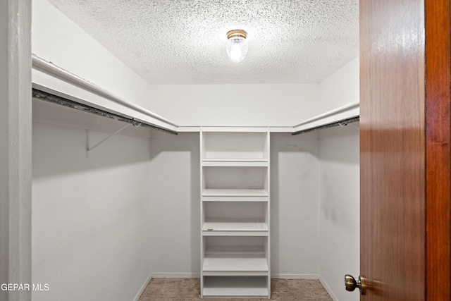 5445 Connors Ln, El Paso, TX 79932 - walk in closet with carpet